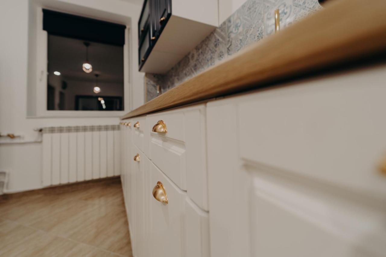Apartamentul Albastru 瓦特拉多梅 外观 照片