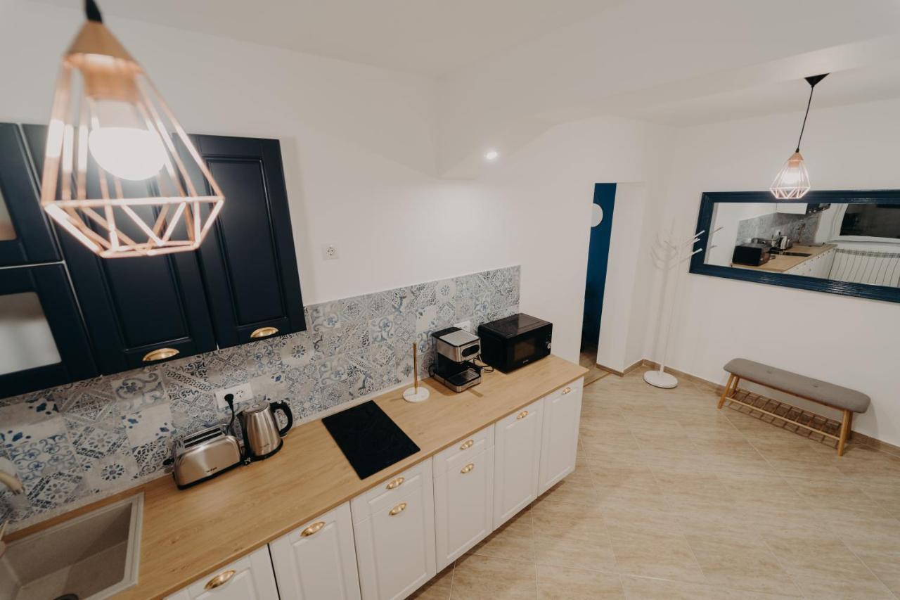 Apartamentul Albastru 瓦特拉多梅 外观 照片